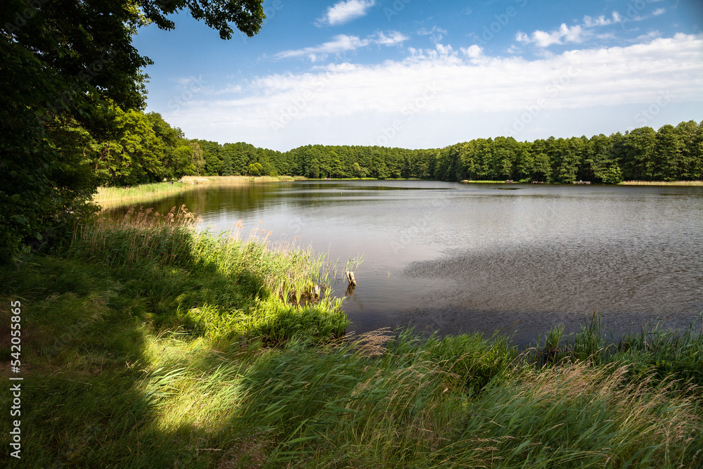 Beautiful landscape on the summer lake