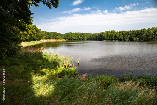 Obraz na płótnie Beautiful landscape on the summer lake w salonie