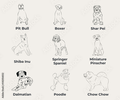 Dog Line Drawing, line art, one color, black and white, vector isolated illustration in black color on white background. Pit Bull, Boxer, Shar Pei, Shiba Inu, Spaniel, Miniature Pinscher, Poodle.