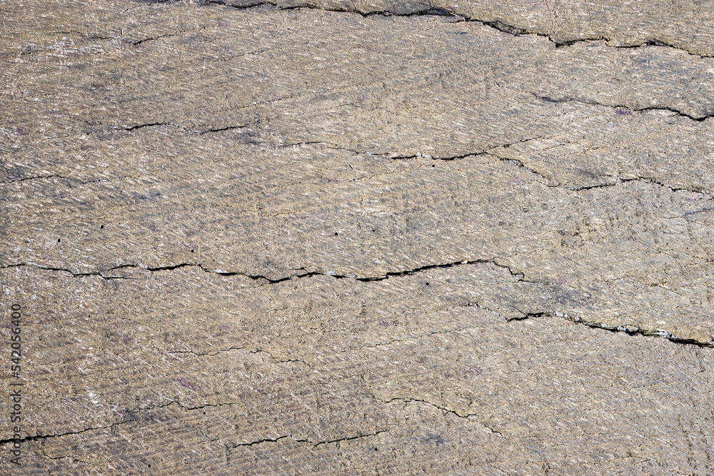 Obraz premium Old gray and brown sandy weathered washed tainted wood texture with horizontal cracks annual rings and grains of river sand. Natural textured closeup dry plank background.