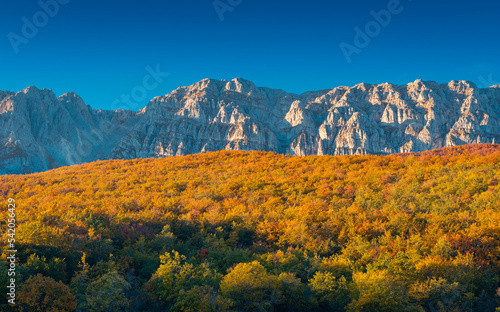 l'autunno si affaccia sui boschi del parco del Sirente Velino, con la parete nord del monte Sirente a fare da sfondo photo