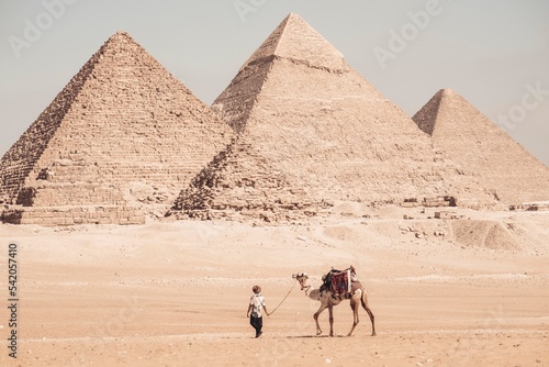 Tourist with the camel at Great Pyramids of Giza 