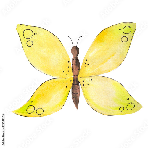 Wallpaper Mural Butterfly illustration in a watercolor style. Butterfly with yellow wings in front. Insects, summer Torontodigital.ca