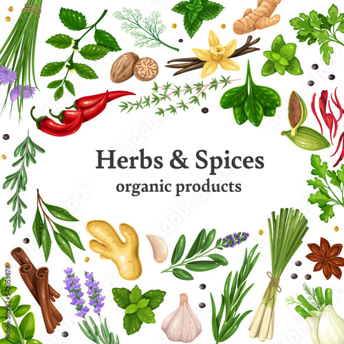 Herbs and spices, organic products design template vector illustration. Cartoon vegetable root, spice seeds, aroma leaf of plant for cooking, herbal ingredient for flavoring food in poster background