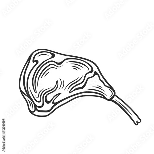 Meat steak with bone outline icon vector illustration. Line hand drawn raw chop from cow meat for steakhouse restaurant menu, prime beef steak on rib, product of butchery and protein food on dinner