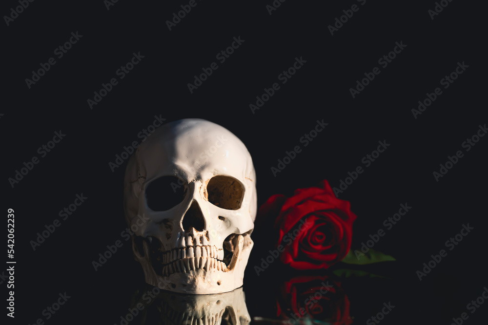 Human skull and flowers. Day of the dead, Dia de los muertos character. Human skull and flowers. Day of the dead, Dia de los muertos character.