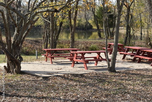 Picnic Tables in a Park