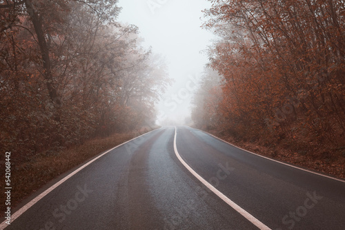 Mystical road surrounded by forrest and fog in autumn in Czech Republic, Europe.