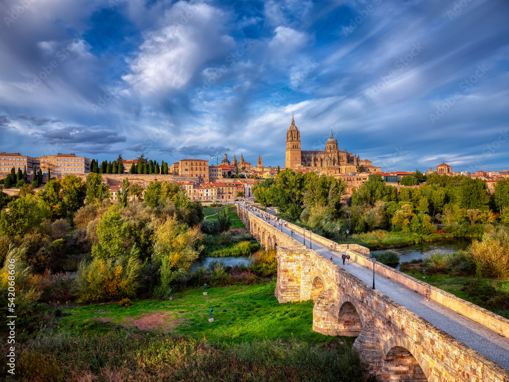 Aerial view of Salamanca with the cathedral and the roman bridge.