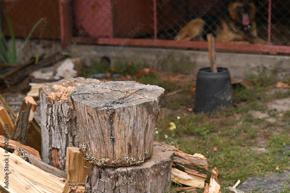 a stump for chopping firewood