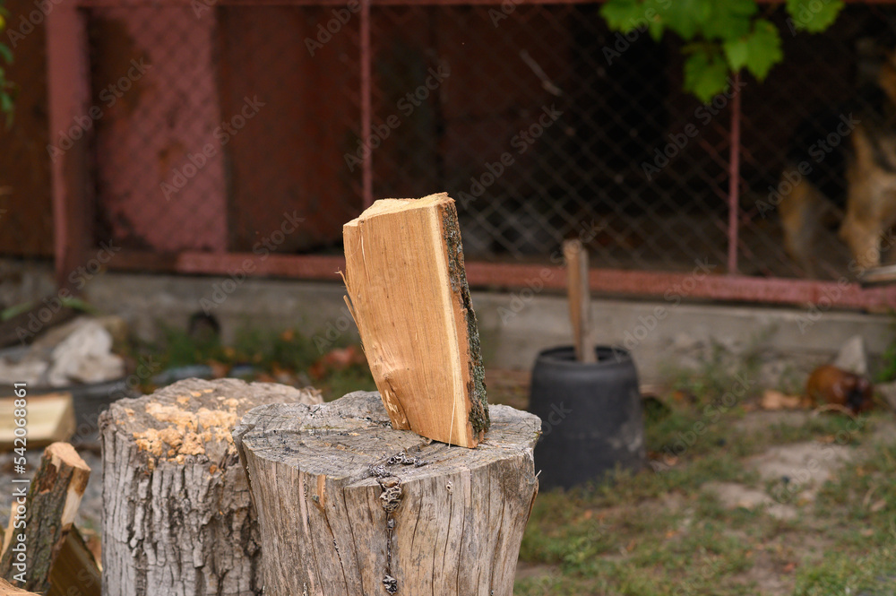 splitting a wooden log on a stump
