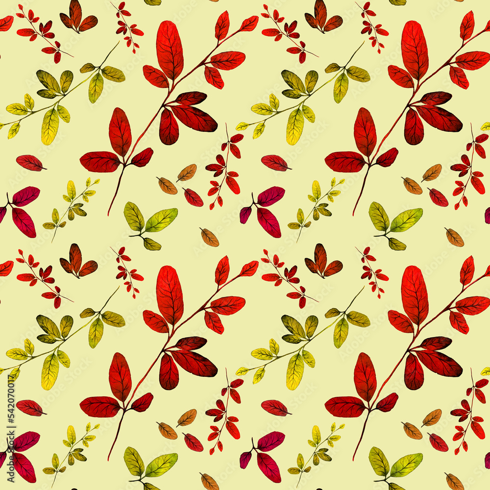 Pattern of branches and herbs on a yellowish background. Watercolor. Pattern of branches and herbs on a yellowish background. Watercolor.