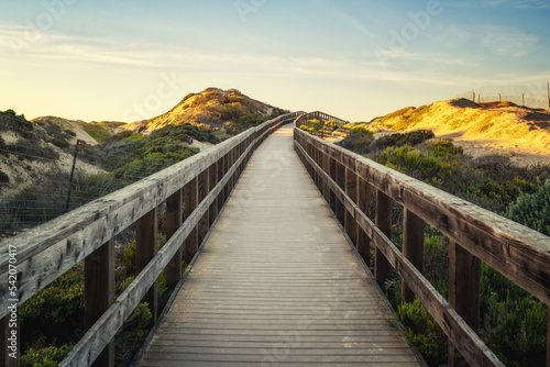 Boardwalk through sand dunes and natural habitats  beach access