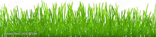 Green grass with seamless horizontal repeat
