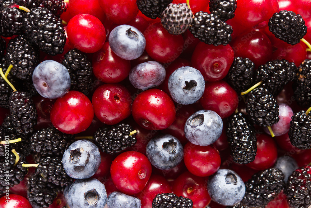 blueberries, raspberries and black berries shot blueberries, raspberries and black berries shot