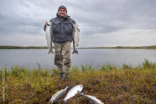 Proud fisherman holds coho salmon fish in Alaska on Egegik river while the remainder of his catch of the day is on the ground in front of him. photo