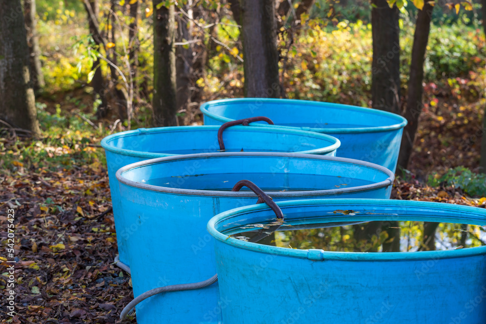 Fishing tubs for fish when fishing the pond. Fishing tubs for fish when fishing the pond.