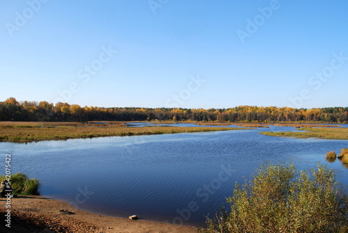 Autumn trees on the lake. Autumn sunny day, deciduous tall trees grow on the shore of the lake under the blue sky. The leaves on them turned yellow, red and orange coloring the landscape. © Andrew_Swarga