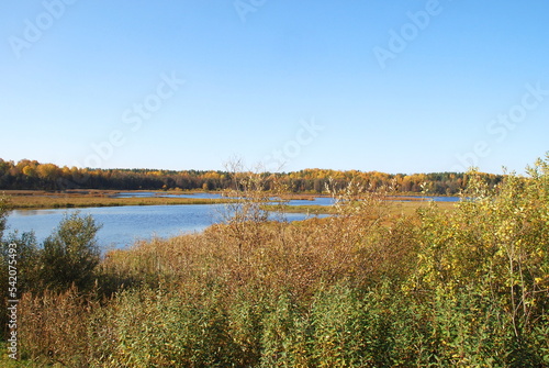 Autumn trees on the lake. Autumn sunny day, deciduous tall trees grow on the shore of the lake under the blue sky. The leaves on them turned yellow, red and orange coloring the landscape. © Andrew_Swarga