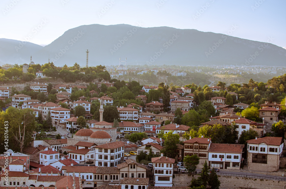 Naklejka premium roof and city view