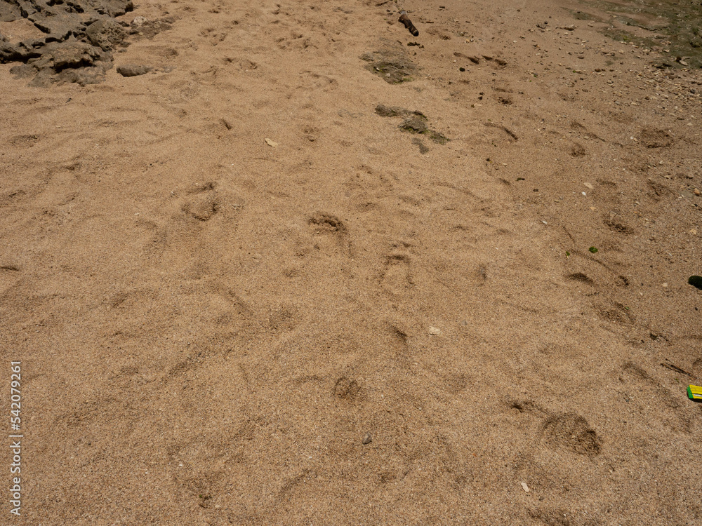 Foot print on the white sand beach Foot print on the white sand beach