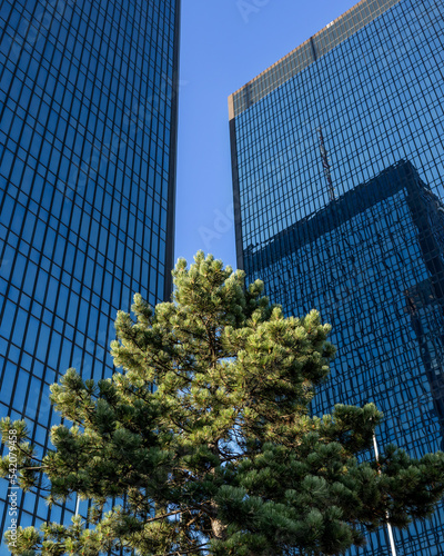 Les Mercuriales Business towers Paris Est side looking like the NYC twin towers