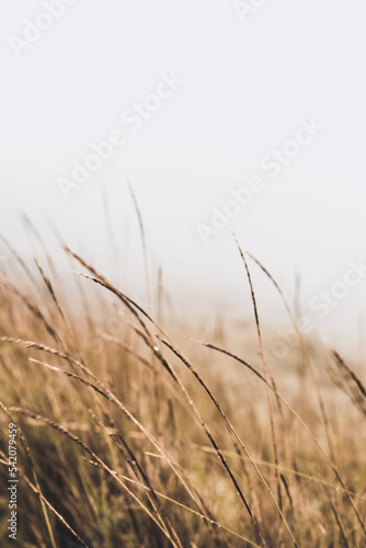 Mount Pulag National Park