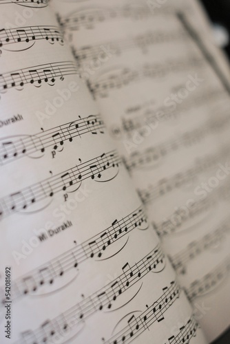 Vertical shot of music notes