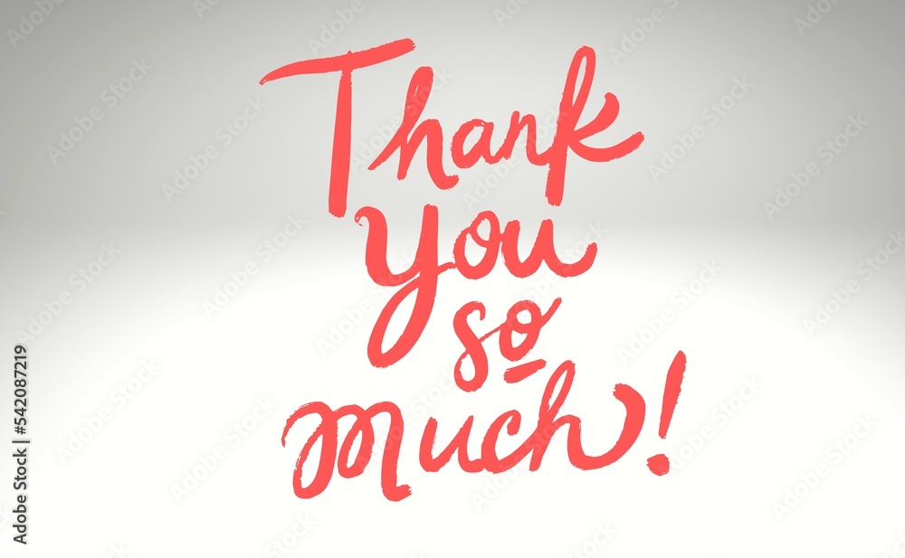 WHAT IS THE MEANING OF THANK YOU SO MUCH visual data 3