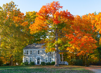 colorful autumn trees and houses in residential area