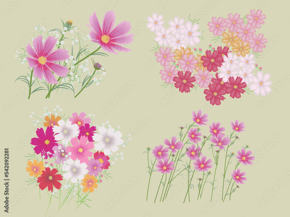 コスモスの花とカスミ草セット
