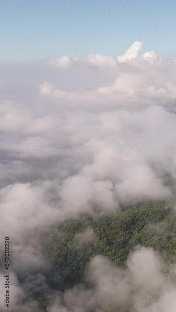 Misty Mountains and Foggy Forest in Breathtaking Top View Misty Mountains and Foggy Forest in Breathtaking Top View