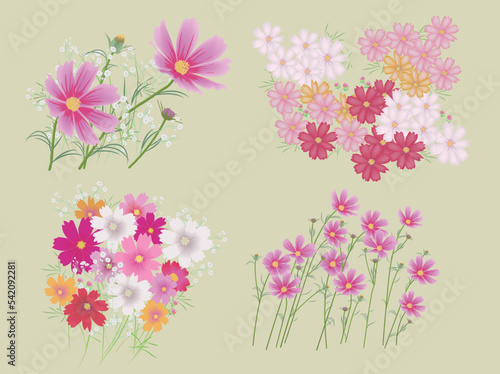 コスモスの花とカスミ草セット © Ide Satoshi