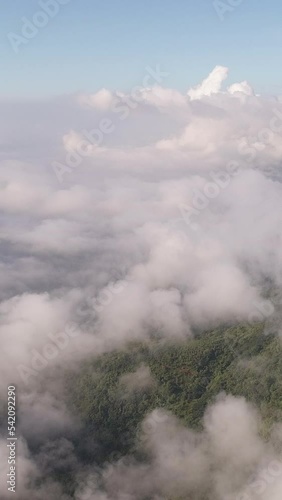  Misty Mountains and Foggy Forest in Breathtaking Top View