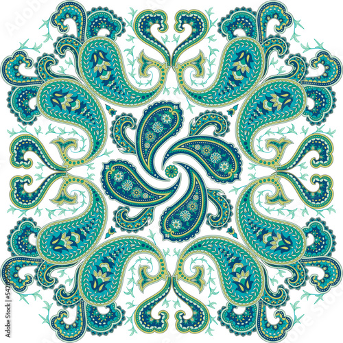 Decorative element of Paisley. Oriental pattern. An element for shawls, scarves, decorations for postcards, invitations.