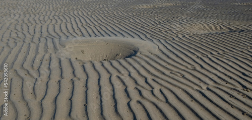 Low tide at Sandgate with Stingray craters. photo