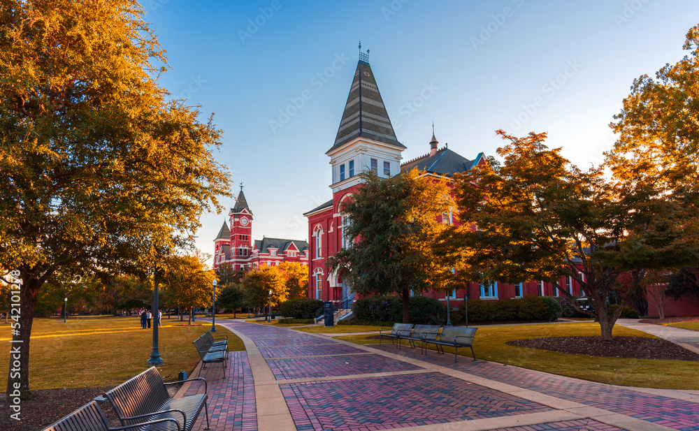 Fall in Auburn University 2022 - obrazy, fototapety, plakaty 