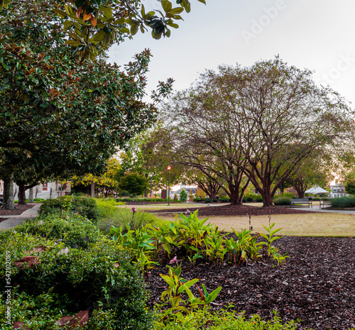 Fall in Auburn University 2022