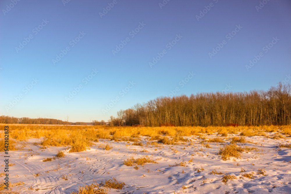 Beautiful winter landscape at the ravine