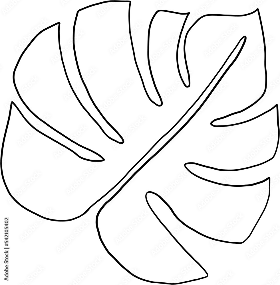 simplicity monstera leaf freehand continuous line drawing simplicity monstera leaf freehand continuous line drawing