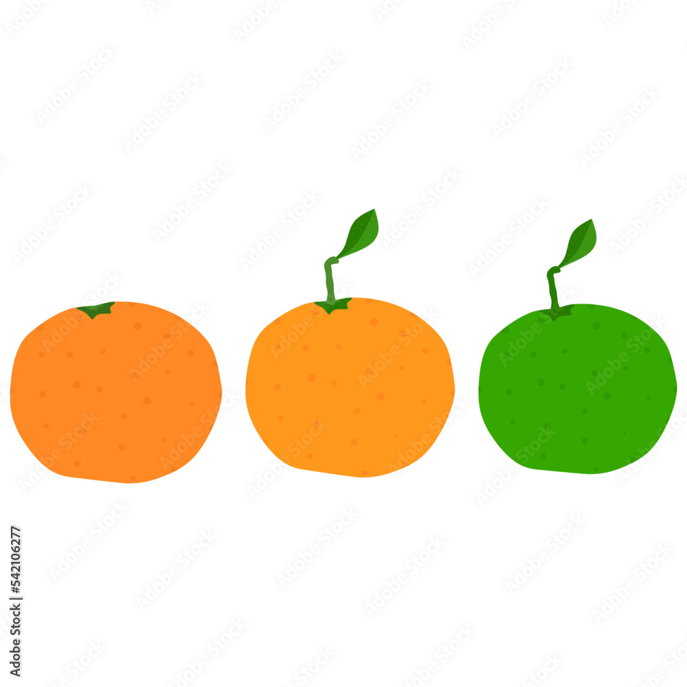 Vector illustration of three mandarin oranges on a white background. Citrus fruits are green and yellow, unripe and ripe. Great for juice drink logos.