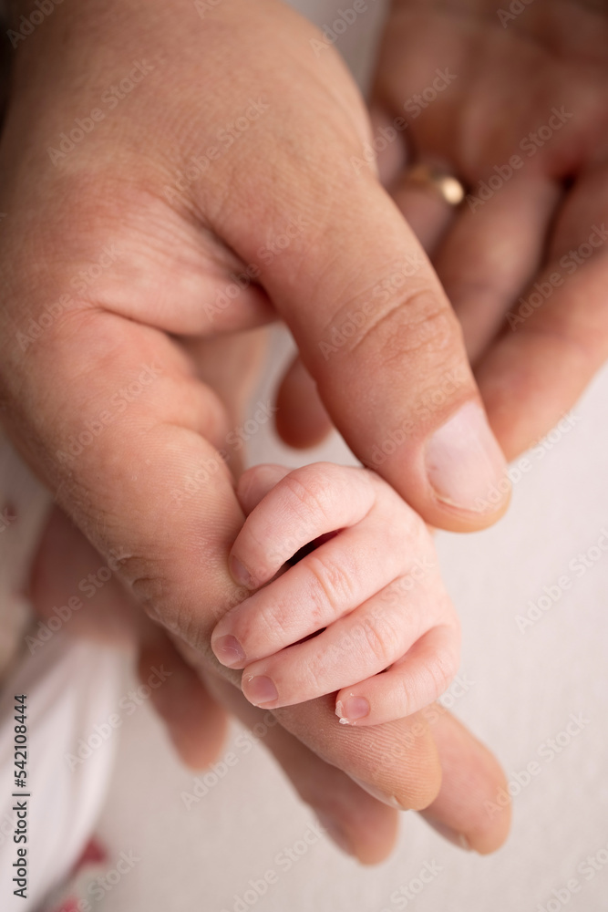 The hand of a sleeping newborn in the hand of parents, mother and father close-up. Tiny fingers of a newborn. The family is holding hands. Studio macro photography. Concepts of family and love. The hand of a sleeping newborn in the hand of parents, mother and father close-up. Tiny fingers of a newborn. The family is holding hands. Studio macro photography. Concepts of family and love.