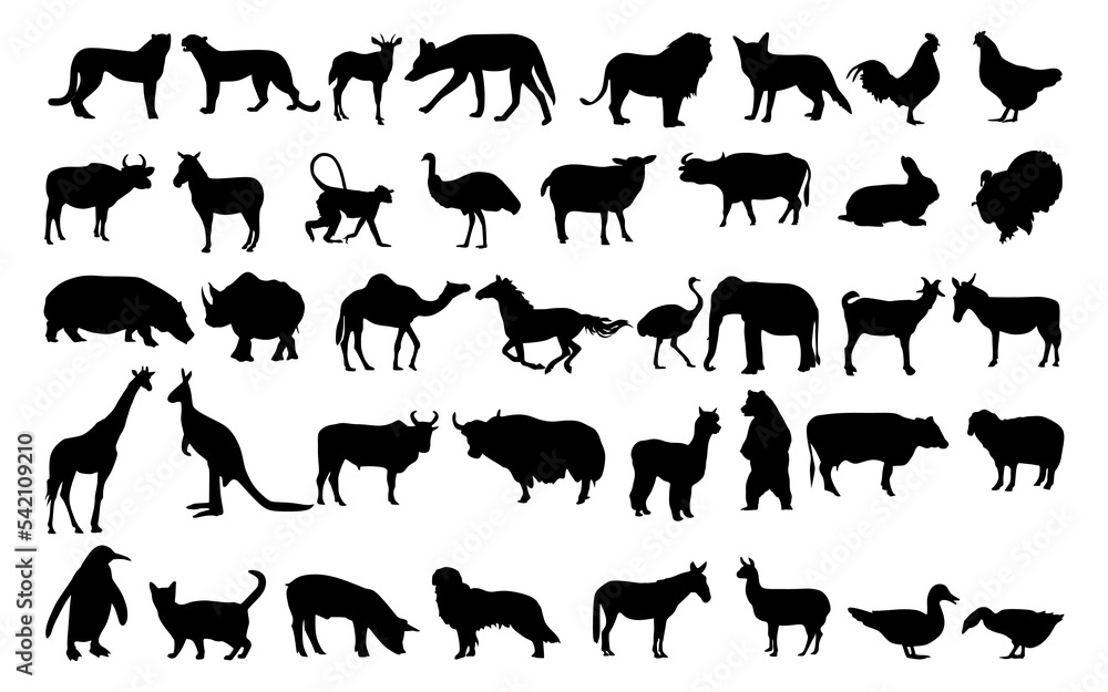 set of vector silhouettes of various kinds of animals set of vector silhouettes of various kinds of animals