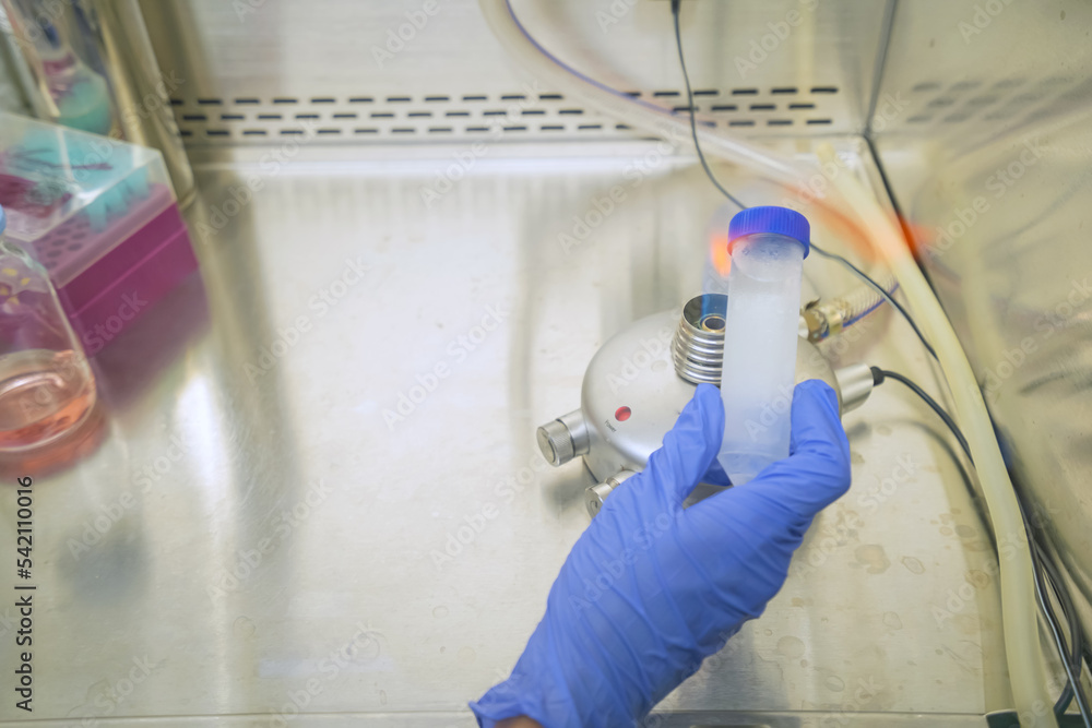 The researcher using bunsen burner to sterile technique for kill the