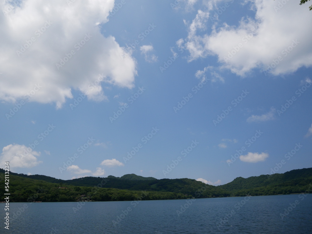 日本の夏の景色