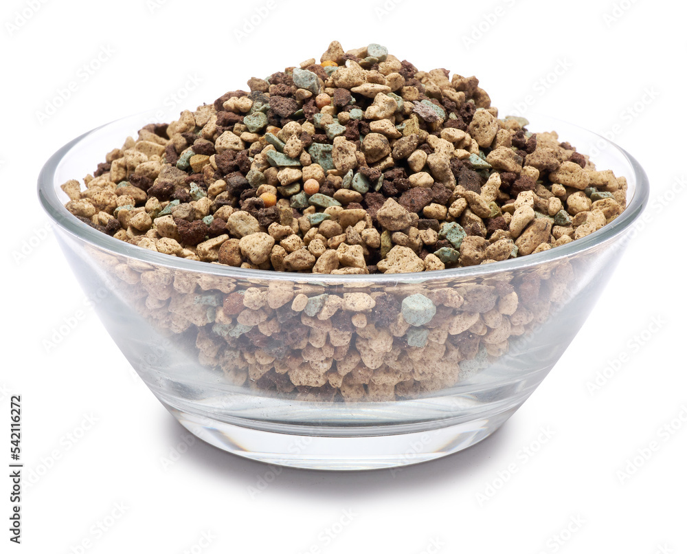 universal mineral substrate for succulents and cacti in a glass bowl isolated on white background universal mineral substrate for succulents and cacti in a glass bowl isolated on white background