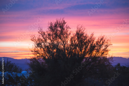 Colorful sky at sunset with shrub