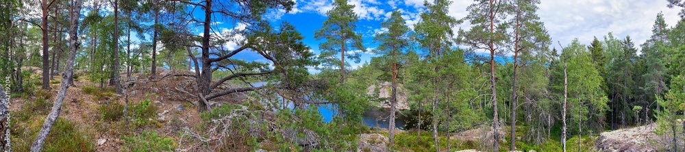 Panoramic photo of a lake in the forest of the Swedish nature