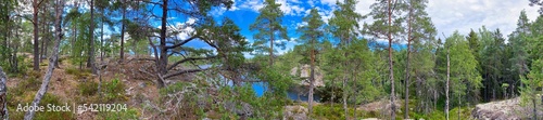 Panoramic photo of a lake in the forest of the Swedish nature