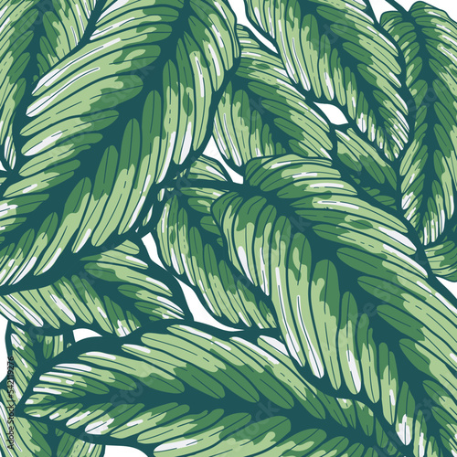 Leaves isolated on white. Green tropical leaves. Hand drawn vector illustration.
